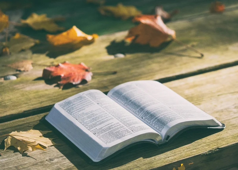 Descubra a riqueza dos livros evangélicos